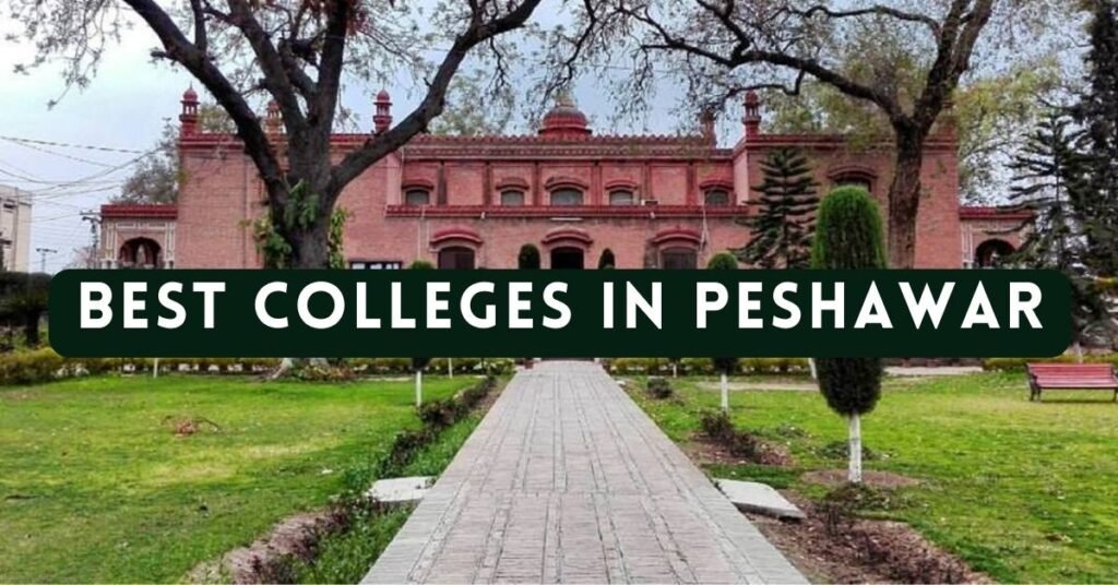 Best Colleges in Peshawar: Navigating Excellence in Education